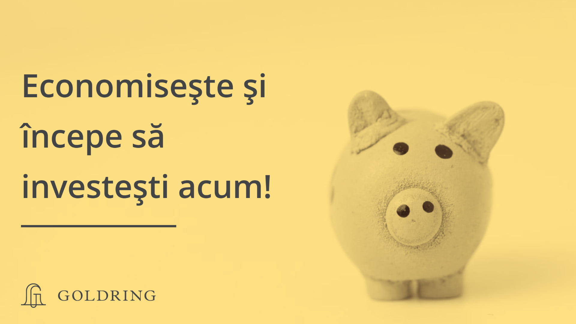 Economiile. Ce sunt și cum poți &icirc;ncepe să investești?